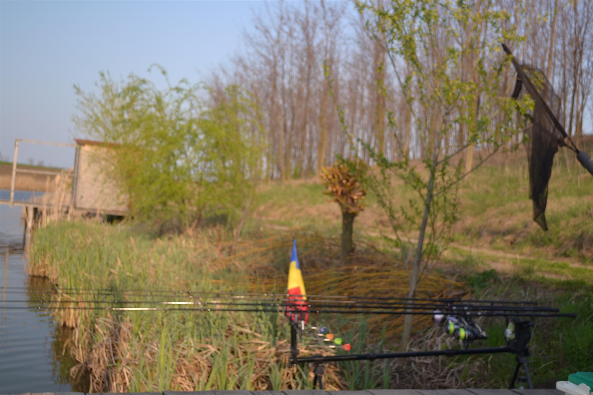 Magura 9 Aprilie - 201404033233.JPG